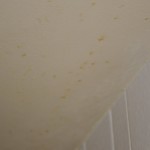 How to Get Rid of Mold In The Bathroom