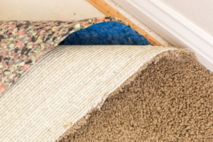 8 Tips To Extend Your Carpet Lifespan